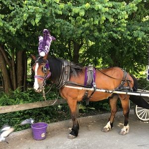 Meet your Posher, Marie